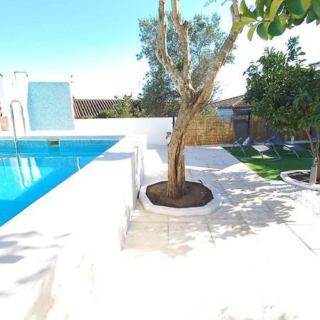 Casa Do Castelo Ξενοδοχείο Arraiolos Εξωτερικό φωτογραφία